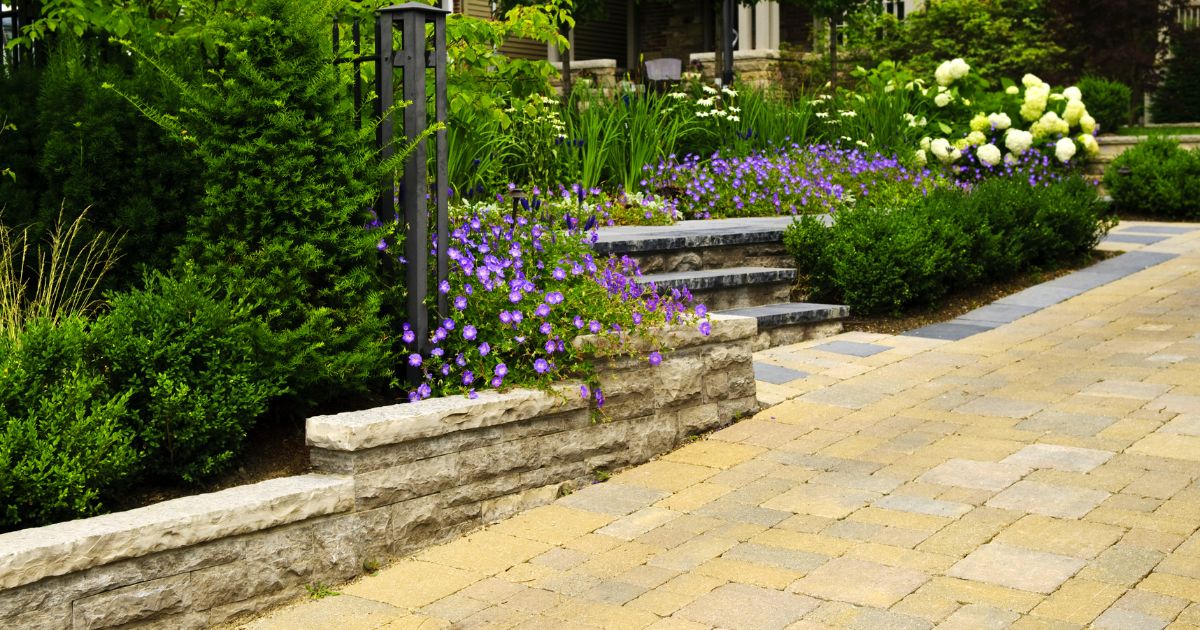 jak-odstranit-rez-ze-zamkove-dlazby (3)